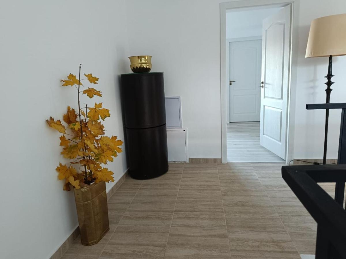 Hotel Viv Rosetti Iasi Esterno foto